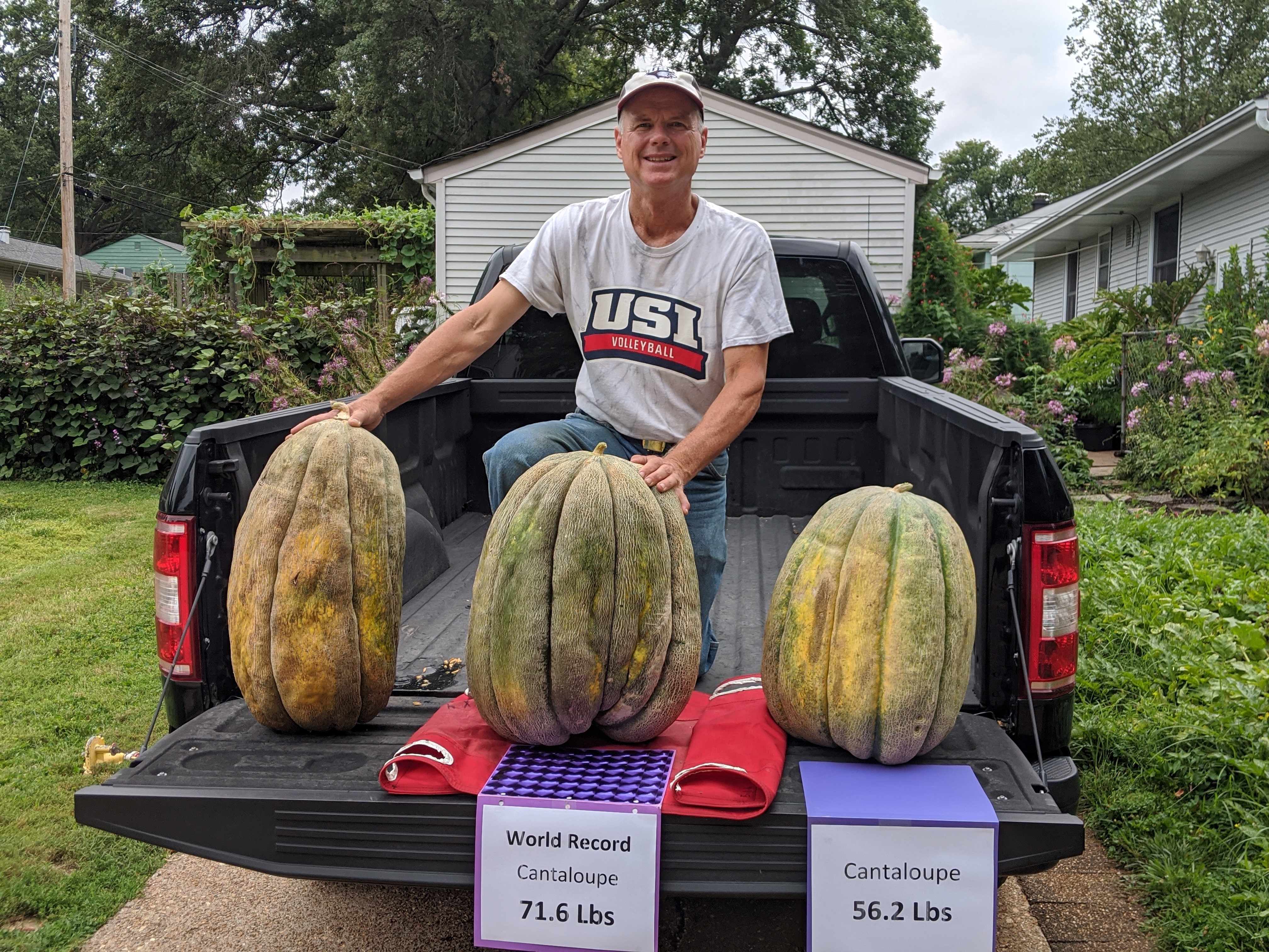 file-watermelons-jpg-wikipedia